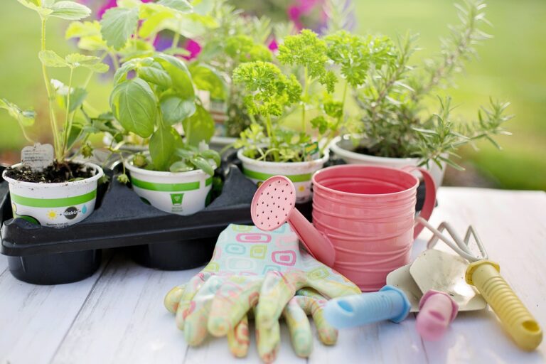 planting, spring, herbs-4226838.jpg